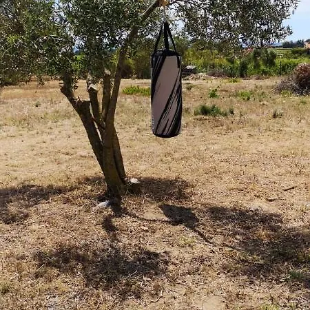 Spacious In With Private Pool And Garden Villa