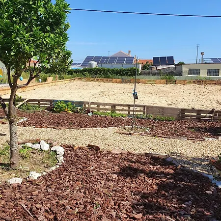 Spacious In With Private Pool And Garden